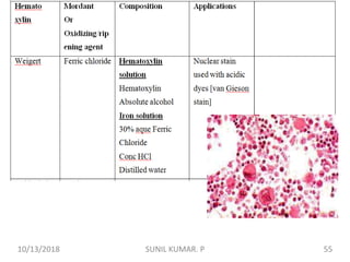 10/13/2018 55SUNIL KUMAR. P
 