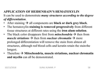 APPLICATION OF HEIDENHAIN’S HEMATOXYLIN
It can be used to demonstrate many structures according to the degree
of differentiation.
• After staining  all components are black or dark grey black.
• The hematoxylin staining is removed progressively from different
tissue structures at different rates using the iron alum solution.
• The black color disappears first from mitochondria  then from
muscle striations  then from nuclear chromatin  more
prolonged differentiation will remove the stain from almost all
structures, although red blood cells and keratin retain the stainthe
longest.
• Therefore  Mitochondria, muscle striations, nuclear chromatin
and myelin can all be demonstrated.
10/13/2018 58SUNIL KUMAR. P
 