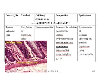 10/13/2018 62SUNIL KUMAR. P
 