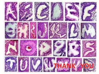 Thank
you……10/13/2018 68SUNIL KUMAR. P
 