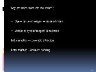 Why are stains taken into the tissues?
 Dye -- tissue or reagent -- tissue affinities
 Uptake of dyes or reagent is multistep
Initial reaction – coulombic attraction
Later reaction – covalent bonding
34
 