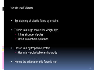 Vanderwaal ‘s forces
 Eg: staining of elastic fibres by orceins
 Orcein is a large molecular weight dye
 It has stronger dipoles
 Used in alcoholic solutions
 Elastin is a hydrophobic protein
 Has many polarisable amino acids
 Hence the criteria for this force is met
42
 