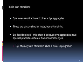 Stain-staininteractions
 Dye molecule attracts each other – dye aggregates
 These are classic sites for metachromatic staining
 Eg: Toulidine blue – this effect is because dye aggregates have
spectral properties different from monomeric dyes
 Eg: Microcrystals of metallic silver in silver impregnation
47
 