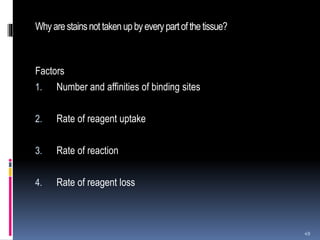 Whyarestainsnot takenupbyeverypartof thetissue?
Factors
1. Number and affinities of binding sites
2. Rate of reagent uptake
3. Rate of reaction
4. Rate of reagent loss
49
 