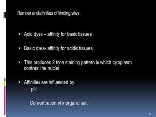 Numberandaffinitiesofbinding sites
 Acid dyes – affinity for basic tissues
 Basic dyes- affinity for acidic tissues
 This produces 2 tone staining pattern in which cytoplasm
contrast the nuclei
 Affinities are influenced by
 pH
 Concentration of inorganic salt
50
 