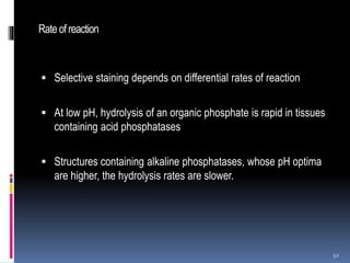 Rateofreaction
 Selective staining depends on differential rates of reaction
 At low pH, hydrolysis of an organic phosphate is rapid in tissues
containing acid phosphatases
 Structures containing alkaline phosphatases, whose pH optima
are higher, the hydrolysis rates are slower.
52
 