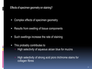 Effectsof specimengeometryonstaining?
 Complex effects of specimen geometry
 Results from swelling of tissue components
 Such swellings increase the rate of staining
 This probably contributes to
 High selectivity of aqueous alcian blue for mucins
 High selectivity of strong acid picro trichrome stains for
collagen fibres
57
 