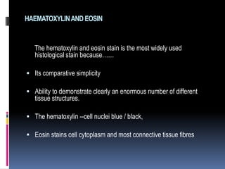 HAEMATOXYLINAND EOSIN
The hematoxylin and eosin stain is the most widely used
histological stain because……
 Its comparative simplicity
 Ability to demonstrate clearly an enormous number of different
tissue structures.
 The hematoxylin --cell nuclei blue / black,
 Eosin stains cell cytoplasm and most connective tissue fibres
 