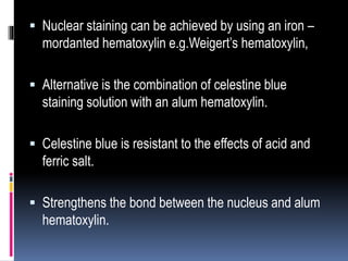  Nuclear staining can be achieved by using an iron –
mordanted hematoxylin e.g.Weigert’s hematoxylin,
 Alternative is the combination of celestine blue
staining solution with an alum hematoxylin.
 Celestine blue is resistant to the effects of acid and
ferric salt.
 Strengthens the bond between the nucleus and alum
hematoxylin.
 