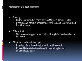 Hematoxylinand eosintechnique
 Staining
 Slides immersed in hematoxylin (Mayer s, Harris, Gills)
 If regressive stain is used longer time is used to overstained
the structures
 Differentiation
 Sections are dipped in acid alcohol, agitated and washed in
tap water
 Observed under microscope
 If underdifferentiated- returned to acid alcohol
 If overdifferentiaited – retured to hematoxylin and
differentiated again
 