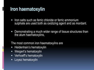 Iron haematoxylin
 Iron salts such as ferric chloride or ferric ammonium
sulphate are used both as oxidizing agent and as mordant.
 Demonstrating a much wider range of tissue structures than
the alum haematoxylins,
The most common iron haematoxylins are
 Heidenhain’s hematoxylin
 Weigert’s hematoxylin
 Verhoeff’s hematoxylin
 Loyez hematoxylin
 