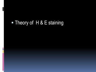  Theory of H & E staining
 