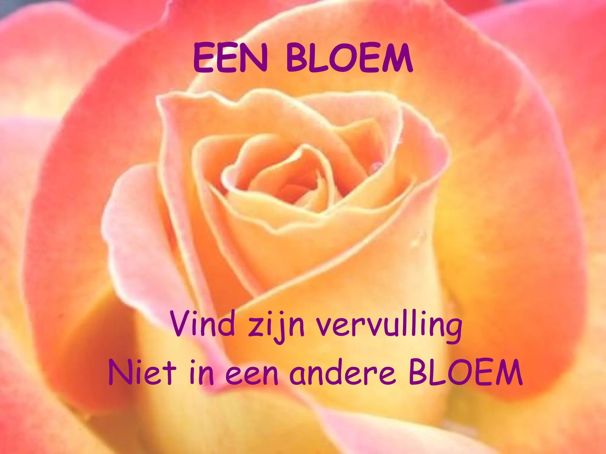 Mijn eerste powerpoint | PPT