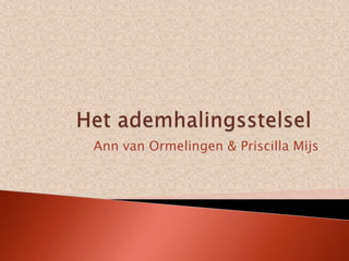 Ann van Ormelingen & Priscilla Mijs
 
