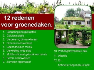 12 redenen voor groendaken. Besparing energiekosten Geluidsisolatie Verbetering binnenklimaat Groenen biodiversiteit Gezondheid en milieu Verkoeling in de stad Multifunctioneel gebruik van ruimte Betere luchtkwaliteit Zuiveren regenwater 10. Verhoogt levensduur dak 11. Waarde 12. En…  het ziet er nog mooi uit ook! 