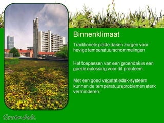 Binnenklimaat Traditionele platte daken zorgen voor hevige temperatuurschommelingen  Het toepassen van een groendak is een goede oplossing voor dit probleem.  Met een goed vegetatiedak-systeem kunnen de temperatuursproblemen sterk verminderen.  