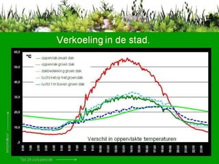 Verkoeling in de stad. Verschil in oppervlakte temperaturen gemeten op een bitumineus dak  en een groen dak  met infrarood metingen. 