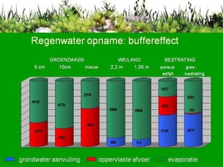 Regenwater opname: buffereffect GROENDAKEN  WEILAND  BESTRATING 5 cm  10cm  nieuw  2,2 m  1,35 m  poreus  gras -  asfalt  bestrating 