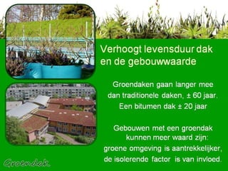 Verhoogt levensduur dak en de gebouwwaarde  Groendaken gaan langer mee  dan traditionele daken, ± 60 jaar. Een bitumen dak ± 20 jaar Gebouwen met een groendak kunnen meer waard zijn: groene omgeving is aantrekkelijker, de isolerende factor  is van invloed. 