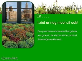 En . . . . ‘t ziet er nog mooi uit ook! Een groendak compenseert het gebrek  aan groen in de stad en ziet er mooi uit (bloemetjes en kleuren). 
