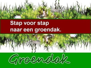 Stap voor stap naar een groendak 
