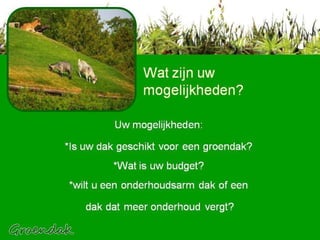 Wat zijn uw mogelijkheden? Uw mogelijkheden: *Is uw dak geschikt voor een groendak? *Wat is uw budget? *wilt u een onderhoudsarm dak of een dak dat meer onderhoud vergt? 