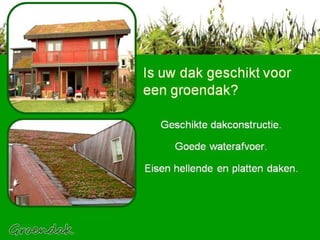 Is uw dak geschikt voor een groendak? Geschikte dakconstructie. Goede waterafvoer. Eisen hellende en platten daken. 