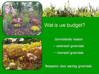 Wat is uw budget? Gemiddelde kosten extensief groendak  intensief groendak Besparen door aanleg groendak.   