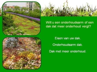 Wilt u een onderhoudsarm of een dak dat meer onderhoud vergt? Eisen van uw dak. Onderhoudsarm dak. Dak met meer onderhoud.  