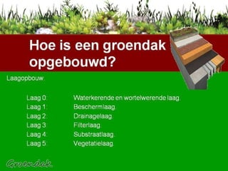 Hoe is een groendak opgebouwd Laagopbouw. Laag 0:  Waterkerende en wortelwerende laag.  Laag 1:  Beschermlaag.  Laag 2:  Drainagelaag.  Laag 3:  Filterlaag. Laag 4:  Substraatlaag. Laag 5:  Vegetatielaag. 