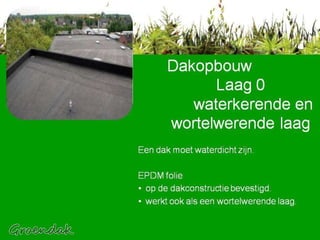 Dakopbouw    Laag 0   waterkerende en    wortelwerende laag Een dak moet waterdicht zijn.  EPDM folie  op de dakconstructie bevestigd. werkt ook als een wortelwerende laag.  
