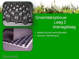 afwatering van overtollig water deel aan waterberging Groendakopbouw    Laag 2   drainagelaag 