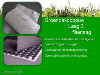 Tussen het substraat en de drainage een bescherming aan te leggen: Geen wortels tot de dakbedekking.  Geen substraat in de drainagelaag. Groendakopbouw    Laag 3   filterlaag 