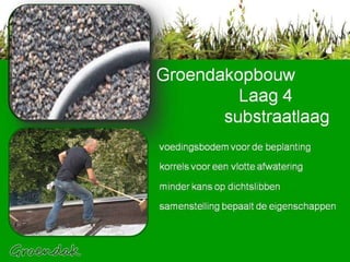 voedingsbodem voor de beplanting korrels voor een vlotte afwatering minder kans op dichtslibben samenstelling bepaalt de eigenschappen Groendakopbouw    Laag 4   substraatlaag 