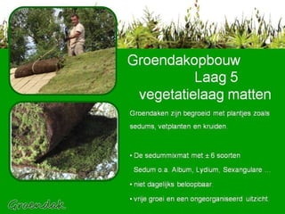 Groendaken zijn begroeid met plantjes zoals sedums, vetplanten en kruiden. De sedummixmat met ± 6 soorten  Sedum o.a. Album, Lydium, Sexangulare ... niet dagelijks beloopbaar. vrije groei en een ongeorganiseerd uitzicht. Groendakopbouw    Laag 5   vegetatielaag matten 