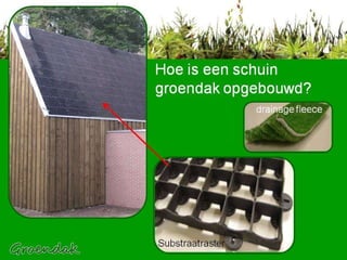 Hoe is een schuin groendak opgebouwd? Substraatraster 