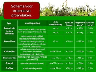 Schema voor extensieve groendaken 