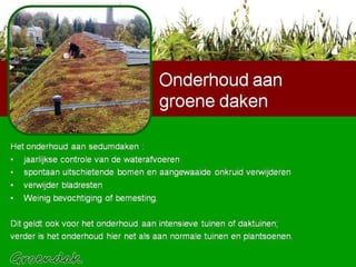 Het onderhoud aan sedumdaken : jaarlijkse controle van de waterafvoeren  spontaan uitschietende bomen en aangewaaide onkruid verwijderen verwijder bladresten Weinig bevochtiging of bemesting.  Dit geldt ook voor het onderhoud aan intensieve tuinen of daktuinen; verder is het onderhoud hier net als aan normale tuinen en plantsoenen. Onderhoud aan groene daken 