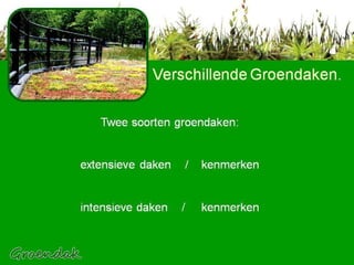 2 soorten extensief + intensief Twee soorten groendaken: extensieve daken  /  kenmerken intensieve daken  /  kenmerken Verschillende Groendaken . 