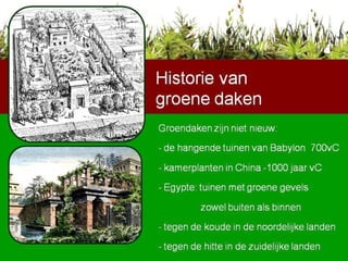 Groendaken zijn niet nieuw:  - de hangende tuinen van Babylon  700vC - kamerplanten in China -1000 jaar vC - Egypte: tuinen met groene gevels  zowel buiten als binnen - tegen de koude in de noordelijke landen  - tegen de hitte in de zuidelijke landen Historie van  groene daken 