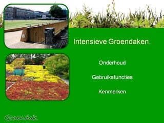 Intensieve Groendaken. Onderhoud Gebruiksfuncties   Kenmerken 