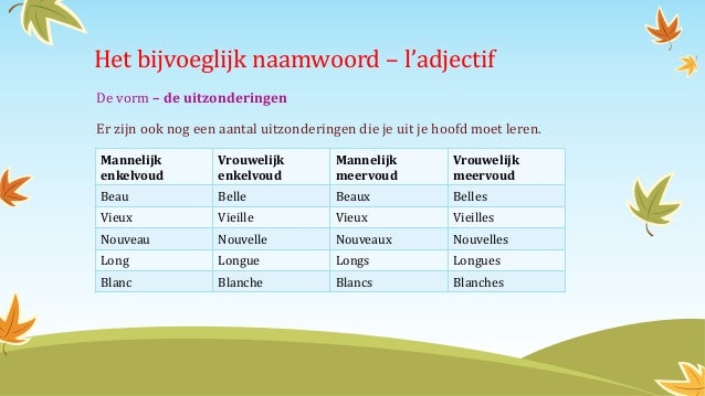 Het bijvoeglijk naamwoord – l’adjectif