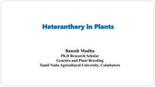 Heteranthery in Plants
Banoth Madhu
Ph.D Research Scholar
Genetics and Plant Breeding
Tamil Nadu Agricultural University, Coimbatore
 