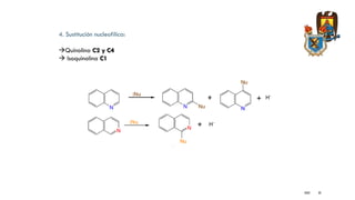 KGEC 33
4. Sustitución nucleofílica:
Quinolina C2 y C4
 Isoquinolina C1
 
