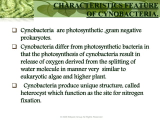 © 2009 Killpack Group All Rights Reserved
CHARACTERISTICS FEATURE
OF CYNOBACTERIA.
 Cynobacteria are photosynthetic ,gram negative
prokaryotes.
 Cynobacteria differ from photosynthetic bacteria in
that the photosynthesis of cynobacteria result in
release of oxygen derived from the splitting of
water molecule in manner very similar to
eukaryotic algae and higher plant.
 Cynobacteria produce unique structure, called
heterocyst which function as the site for nitrogen
fixation.
 