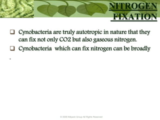 © 2009 Killpack Group All Rights Reserved
NITROGEN
FIXATION
 Cynobacteria are truly autotropic in nature that they
can fix not only CO2 but also gaseous nitrogen.
 Cynobacteria which can fix nitrogen can be broadly
.
 