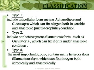 © 2009 Killpack Group All Rights Reserved
CLASSIFICATION
 Type 1 ,
include unicellular form such as Aphanothece and
Gloeocapsa which can fix nitrgen both in aerobic
and anaerobic (microaerophilic) condition.
 Type 2,
include nonheterocystous filamentous form , such as
Oscillatoria , which can fix it only under anaerobic
condition .
 Type 3,
the most important group , contain many heterocystous
fillamentous form which can fix nitrogen both
aerobically and anaerobically
 