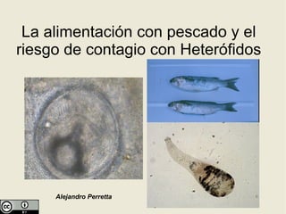 La alimentación con pescado y el
riesgo de contagio con Heterófidos




     Alejandro Perretta
 