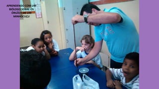 APRENDENDO COM UM
BIÓLOGO SOBRE OS
ÓRGÃOS DE UM
MINHOCUÇU

 