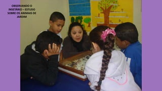 OBSERVANDO O
INSETÁRIO – ESTUDO
SOBRE OS ANIMAIS DE
JARDIM

 